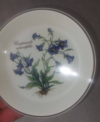 Coupelle, décor Botanica, en céramique, de Villeroy & Boch