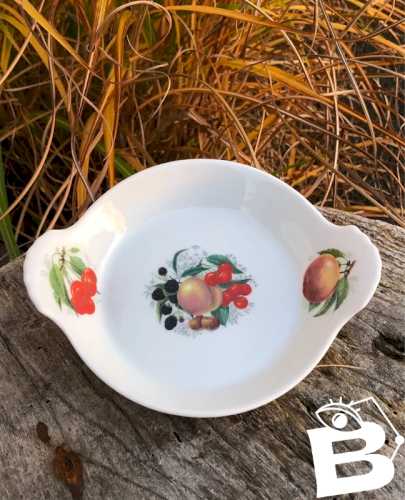 Coupelle rétro vintage en porcelaine Apilco motifs fruits