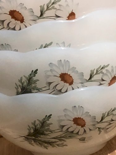 Coupelles Arcopal rétro vintage motifs marguerites