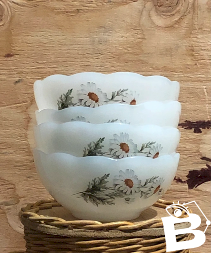 Coupelles Arcopal rétro vintage motifs marguerites