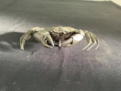 CRABE BRONZE ARGENTÉ Japanese Meiji Bronze Okimono - Crabs