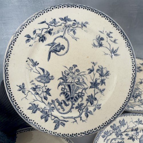 CREIL ET MONTEREAU lot 5 assiettes à dessert terre de fer décor PERRUCHE ~20.5cm