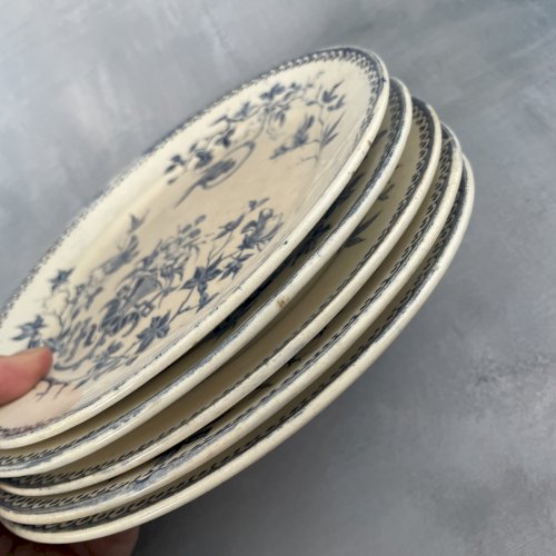 CREIL ET MONTEREAU lot 5 assiettes à dessert terre de fer décor PERRUCHE ~20.5cm