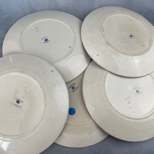 CREIL ET MONTEREAU lot 5 assiettes à dessert terre de fer décor PERRUCHE ~20.5cm