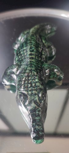 Crocodile Accolay en céramique émaillée