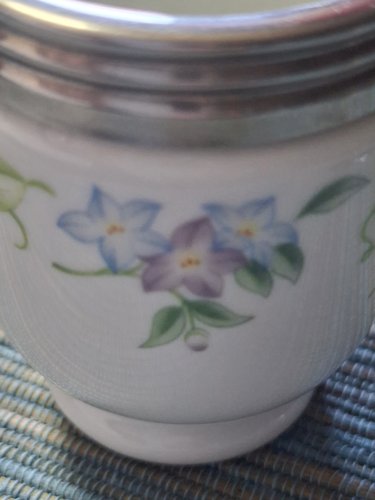 Cuit oeufs Royal Worcester en porcelaine