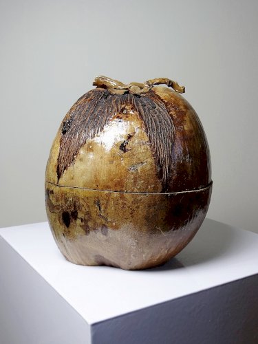 Curiosité boite vintage années 50-60 noix de coco naturalisée