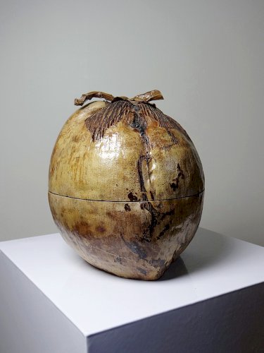 Curiosité boite vintage années 50-60 noix de coco naturalisée