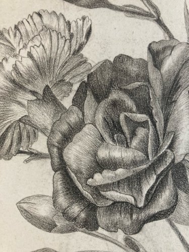 Dessin 1861 Fleur Fleurs Crayon Plante Art Nouveau Herbier Ancien XIXe