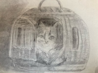 Dessin 1880 XIXe Crayon Chat Animalier Animal Animaux Panier Ancien