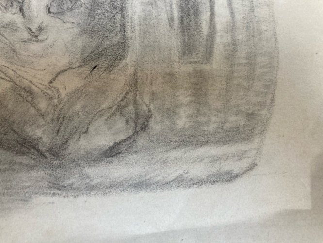 Dessin 1880 XIXe Crayon Chat Animalier Animal Animaux Panier Ancien