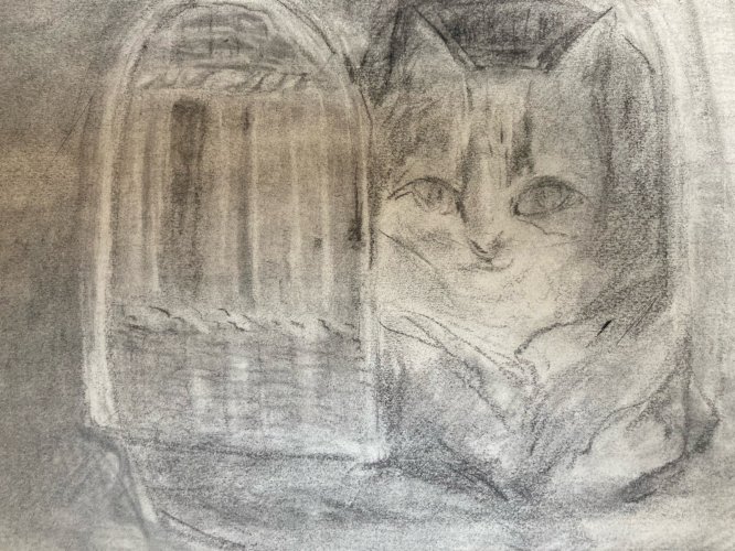 Dessin 1880 XIXe Crayon Chat Animalier Animal Animaux Panier Ancien