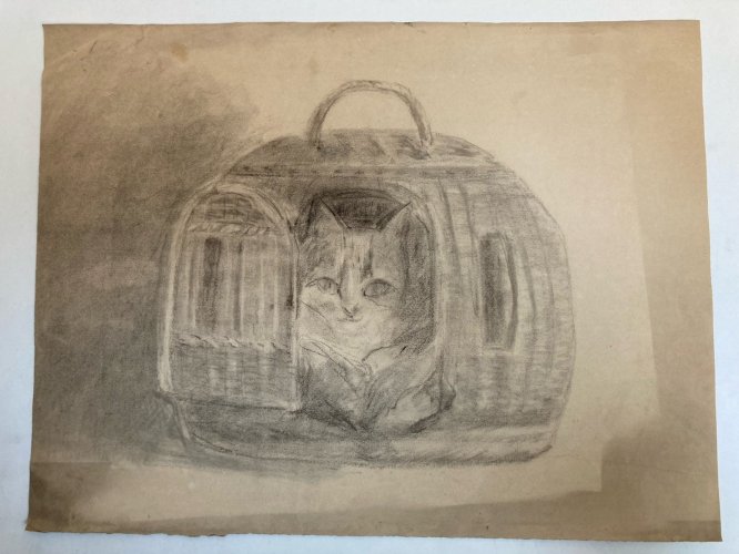 Dessin 1880 XIXe Crayon Chat Animalier Animal Animaux Panier Ancien