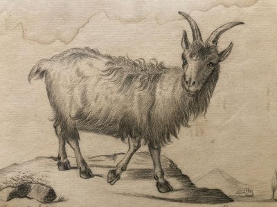 Dessin 1880 XIXe Crayon Chat Animalier Chèvre Animal Animaux Ancien Drawing  Old