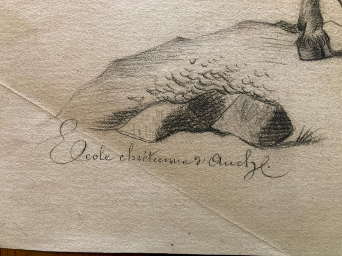 Dessin 1880 XIXe Crayon Chat Animalier Chèvre Animal Animaux Ancien Drawing  Old