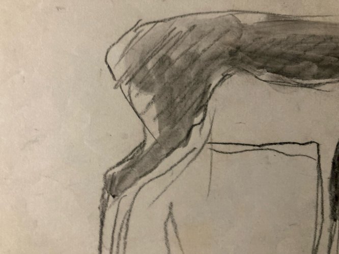 Dessin 1900 Crayon Antilope Addax Animalier Animal Animaux Art Ancien