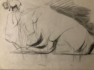 Dessin 1900 Crayon Bison École Américaine Animalier Animal Animaux Art