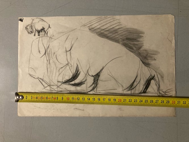 Dessin 1900 Crayon Bison École Américaine Animalier Animal Animaux Art