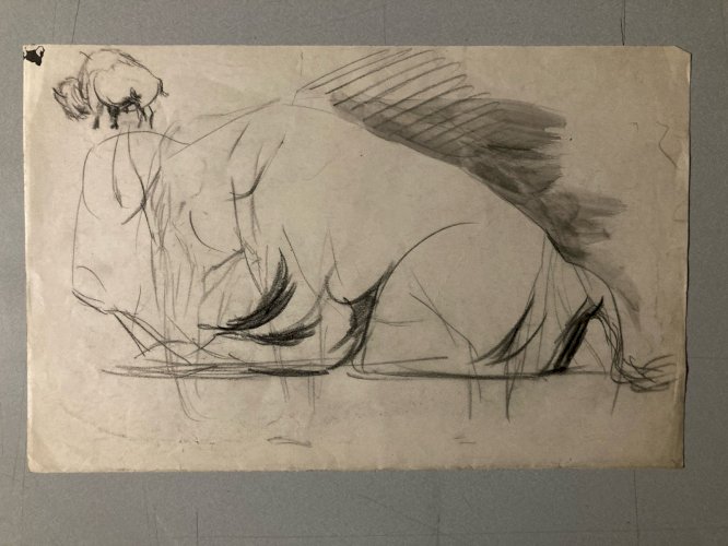 Dessin 1900 Crayon Bison École Américaine Animalier Animal Animaux Art