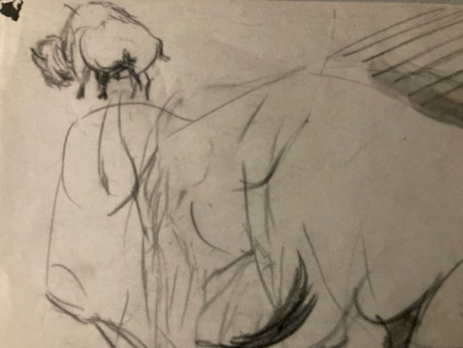 Dessin 1900 Crayon Bison École Américaine Animalier Animal Animaux Art