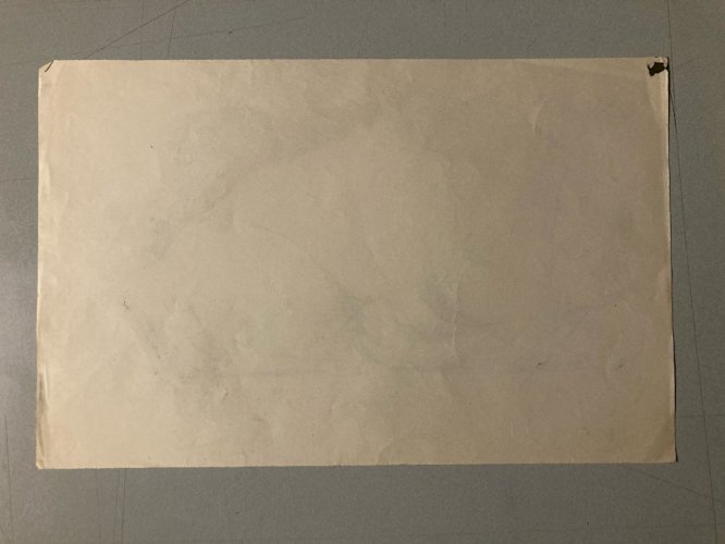 Dessin 1900 Crayon Bison École Américaine Animalier Animal Animaux Art