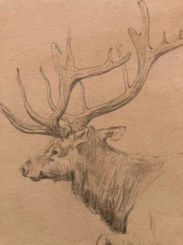 Dessin 1900 Crayon Cerf Biche Canard Animalier Animal Animaux Papier