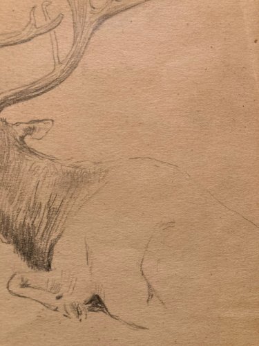 Dessin 1900 Crayon Cerf Biche Canard Animalier Animal Animaux Papier
