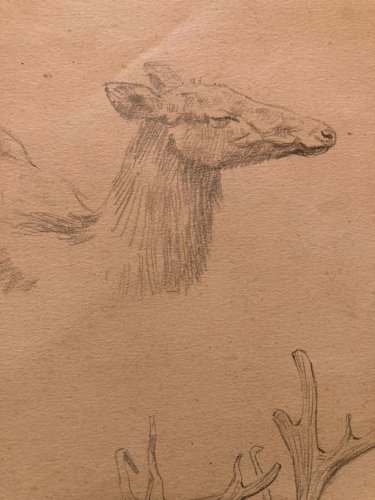 Dessin 1900 Crayon Cerf Biche Canard Animalier Animal Animaux Papier