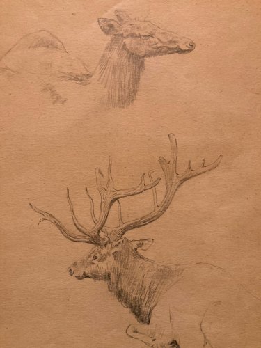 Dessin 1900 Crayon Cerf Biche Canard Animalier Animal Animaux Papier