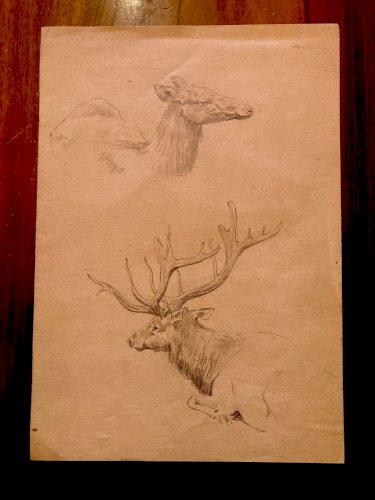 Dessin 1900 Crayon Cerf Biche Canard Animalier Animal Animaux Papier