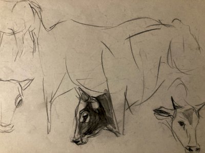 Dessin 1900 Crayon Vache École Américaine Animalier Animal Animaux Art