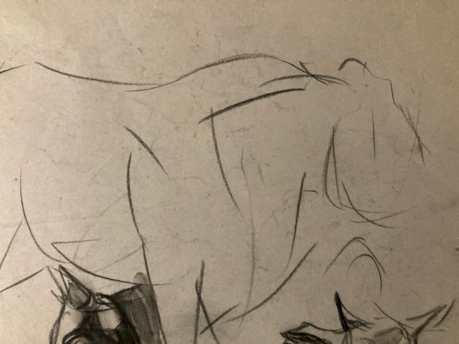 Dessin 1900 Crayon Vache École Américaine Animalier Animal Animaux Art