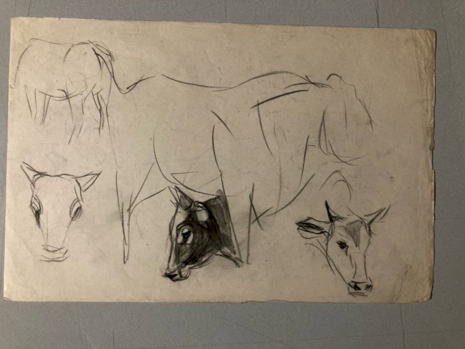 Dessin 1900 Crayon Vache École Américaine Animalier Animal Animaux Art