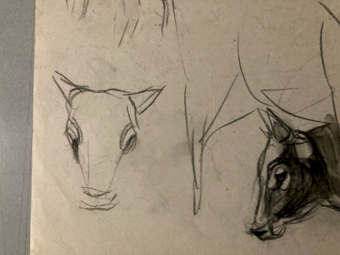 Dessin 1900 Crayon Vache École Américaine Animalier Animal Animaux Art