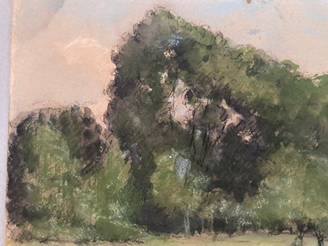 Dessin 1900 Peinture Papier Aquarelle Paysage Fusain Forêt A Identifier Art
