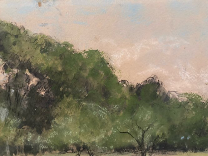 Dessin 1900 Peinture Papier Aquarelle Paysage Fusain Forêt A Identifier Art