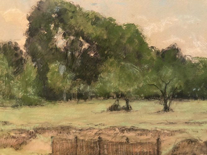 Dessin 1900 Peinture Papier Aquarelle Paysage Fusain Forêt A Identifier Art