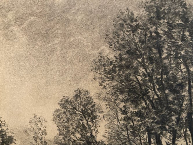 Dessin 1900 Peinture Papier Paysage Fusain Forêt A Identifier Art Riviere