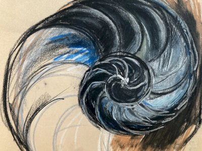 Dessin 1960 Coquillage Escargot Coquille Vintage Crayon Décoration Art