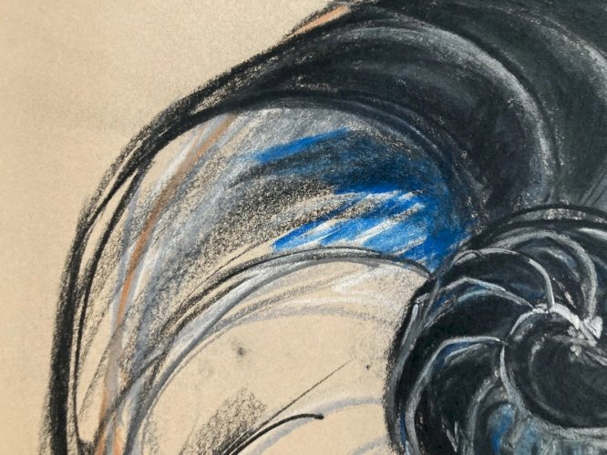 Dessin 1960 Coquillage Escargot Coquille Vintage Crayon Décoration Art