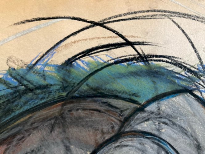 Dessin 1960 Coquillage Escargot Coquille Vintage Crayon Décoration Art