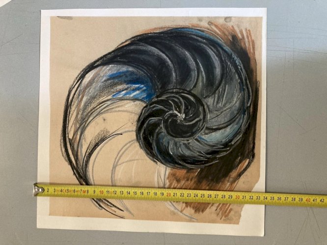 Dessin 1960 Coquillage Escargot Coquille Vintage Crayon Décoration Art