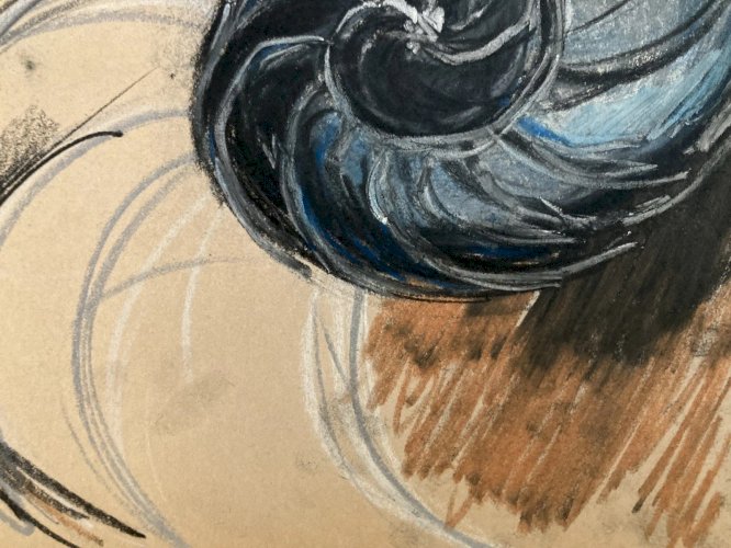 Dessin 1960 Coquillage Escargot Coquille Vintage Crayon Décoration Art