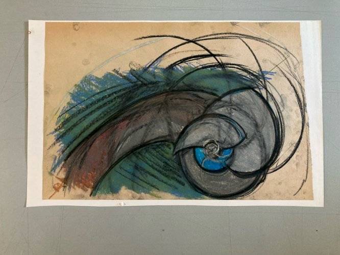 Dessin 1960 Coquillage Escargot Coquille Vintage Crayon Décoration Art