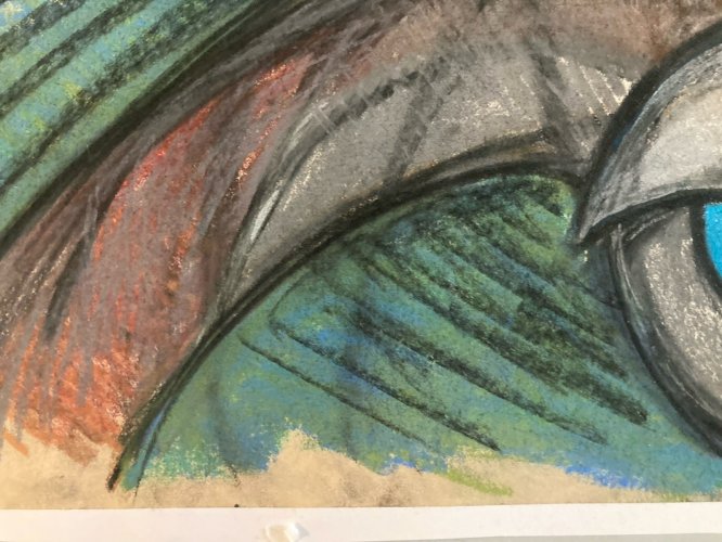 Dessin 1960 Coquillage Escargot Coquille Vintage Crayon Décoration Art