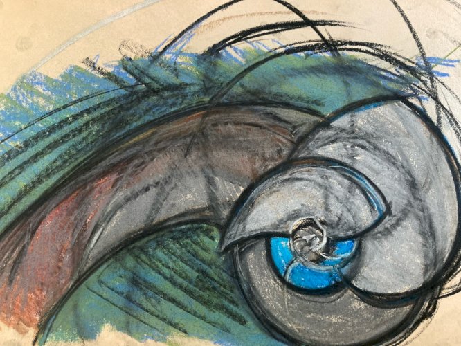 Dessin 1960 Coquillage Escargot Coquille Vintage Crayon Décoration Art