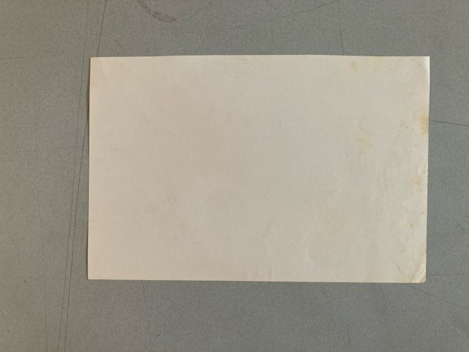 Dessin 1960 Crayon Chat Animalier Animal Animaux Souris Art Brut