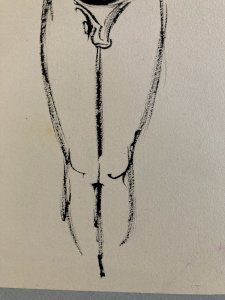 dot