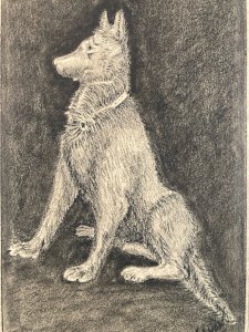 Dessin 1970 Crayon Chien Animal Animaux Art Brut Naïf  Drawing Ancien Original