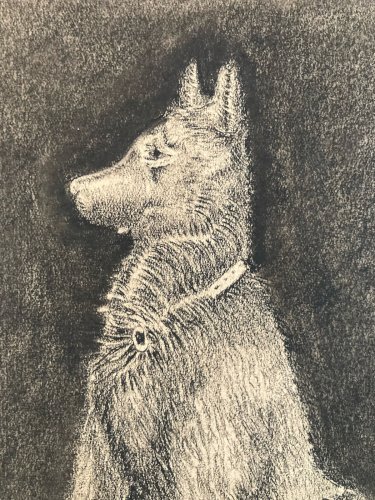 Dessin 1970 Crayon Chien Animal Animaux Art Brut Naïf  Drawing Ancien Original